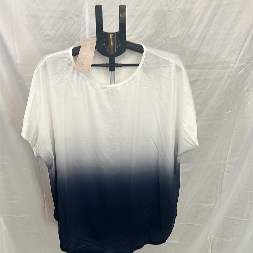 Emily Rose Relaxed Ombre Gray and White Tee
